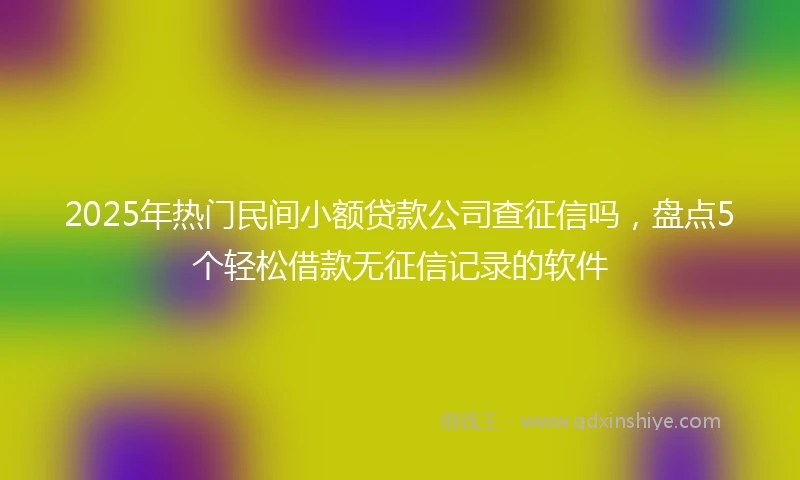 2025年热门民间小额贷款公司查征信吗，盘点5个轻松借款无征信记录的软件