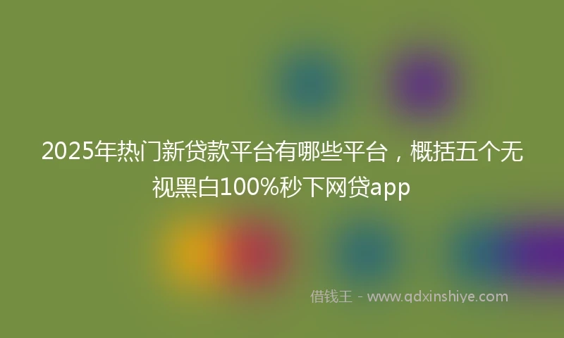 2025年热门新贷款平台有哪些平台，概括五个无视黑白100%秒下网贷app