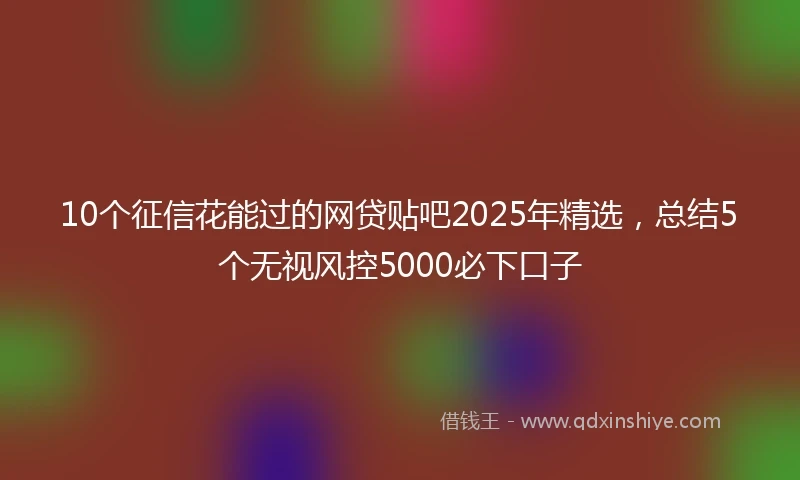 10个征信花能过的网贷贴吧2025年精选，总结5个无视风控5000必下口子
