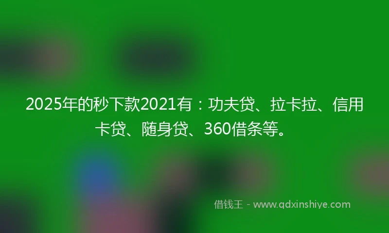 2025年的秒下款2021有：功夫贷、拉卡拉、信用卡贷、随身贷、360借条等。