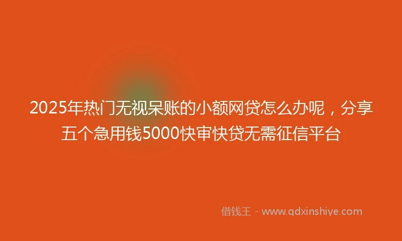2025年热门无视呆账的小额网贷怎么办呢，分享五个急用钱5000快审快贷无需征信平台
