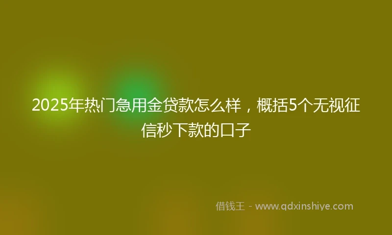 2025年热门急用金贷款怎么样，概括5个无视征信秒下款的口子