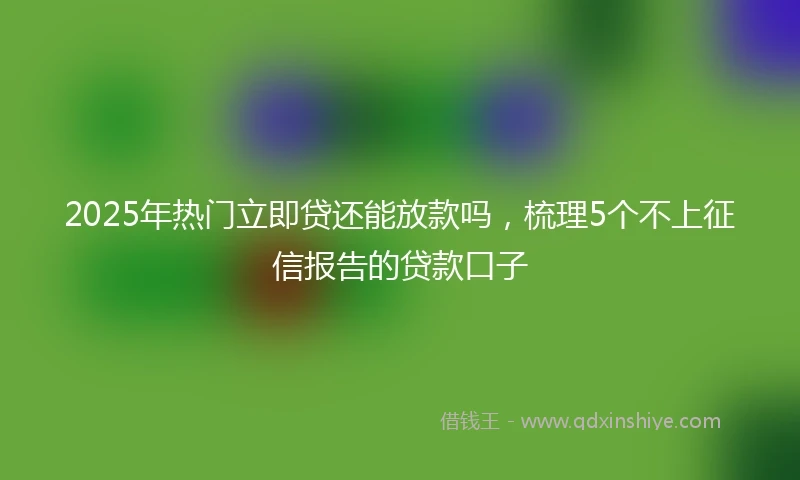 2025年热门立即贷还能放款吗，梳理5个不上征信报告的贷款口子