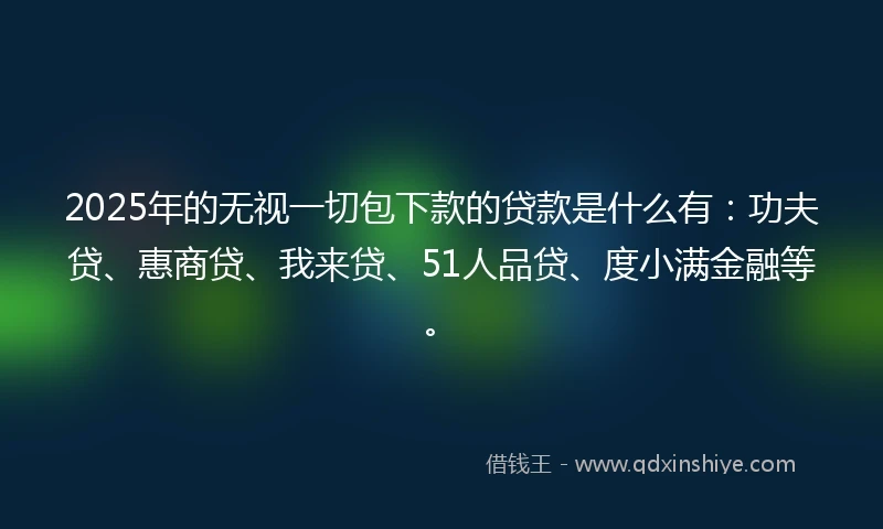 2025年的无视一切包下款的贷款是什么有：功夫贷、惠商贷、我来贷、51人品贷、度小满金融等。