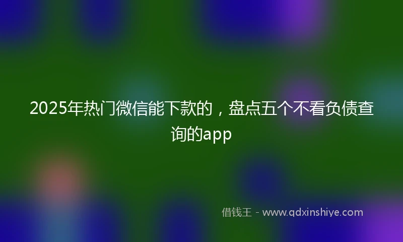 2025年热门微信能下款的，盘点五个不看负债查询的app
