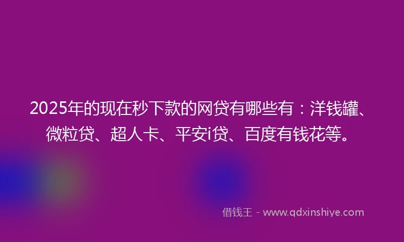 2025年的现在秒下款的网贷有哪些有：洋钱罐、微粒贷、超人卡、平安i贷、百度有钱花等。