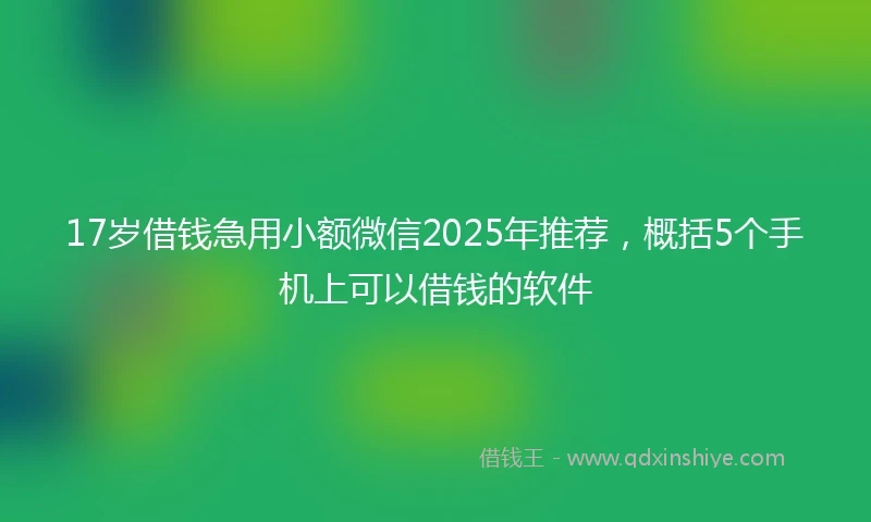 17岁借钱急用小额微信2025年推荐，概括5个手机上可以借钱的软件