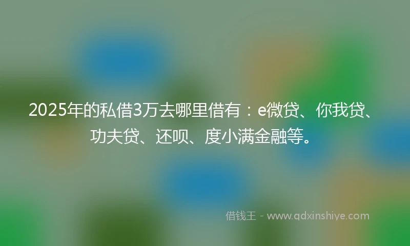 2025年的私借3万去哪里借有:e微贷、你我贷、功夫贷、还呗、度小满金融等。