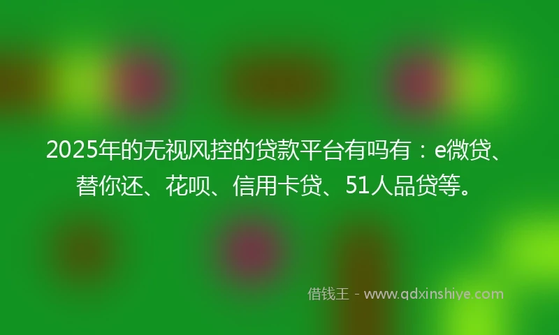 2025年的无视风控的贷款平台有吗有：e微贷、替你还、花呗、信用卡贷、51人品贷等。