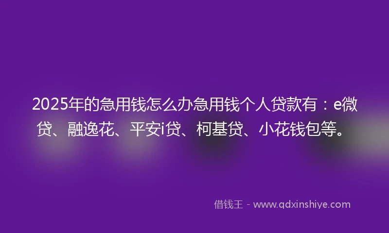 2025年的急用钱怎么办急用钱个人贷款有：e微贷、融逸花、平安i贷、柯基贷、小花钱包等。
