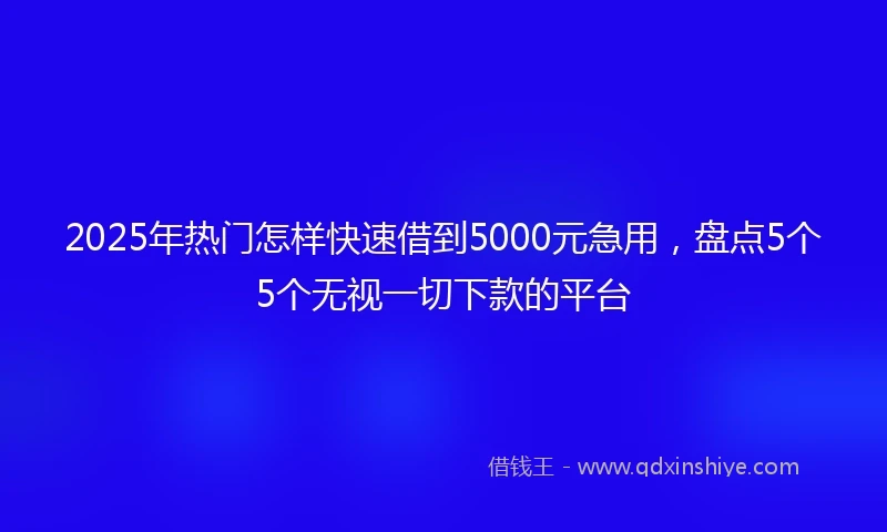 2025年热门怎样快速借到5000元急用，盘点5个5个无视一切下款的平台
