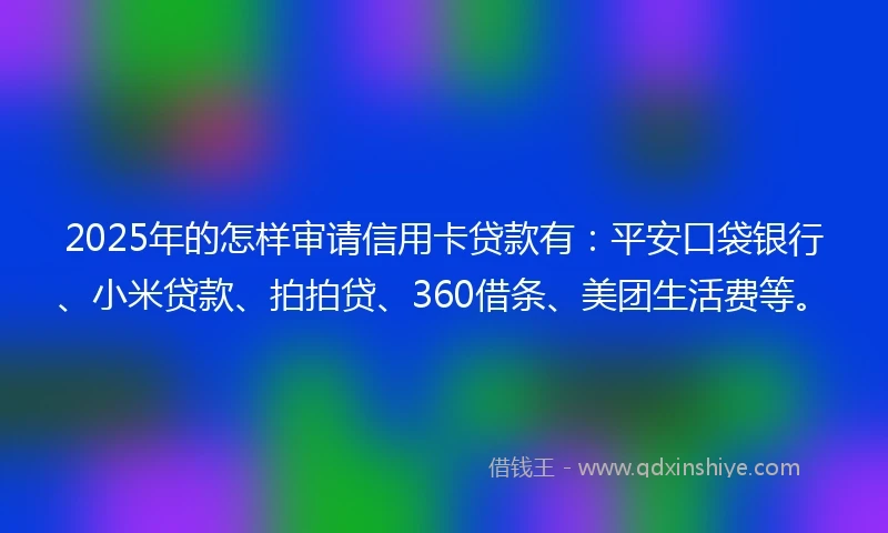 2025年的怎样审请信用卡贷款有：平安口袋银行、小米贷款、拍拍贷、360借条、美团生活费等。