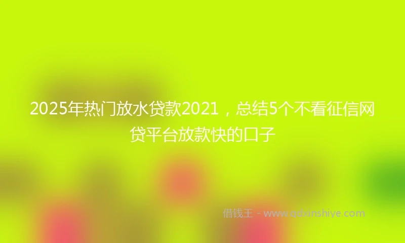 2025年热门放水贷款2021，总结5个不看征信网贷平台放款快的口子