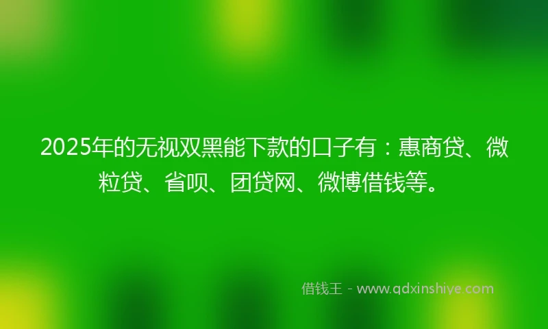 2025年的无视双黑能下款的口子有：惠商贷、微粒贷、省呗、团贷网、微博借钱等。