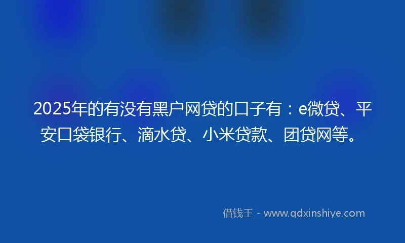 2025年的有没有黑户网贷的口子有：e微贷、平安口袋银行、滴水贷、小米贷款、团贷网等。