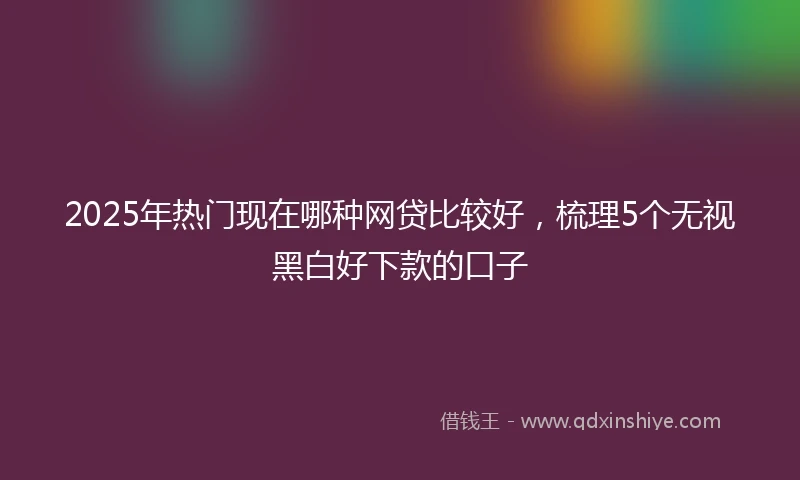 2025年热门现在哪种网贷比较好，梳理5个无视黑白好下款的口子