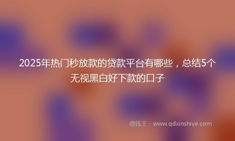 2025年热门秒放款的贷款平台有哪些，总结5个无视黑白好下款的口子