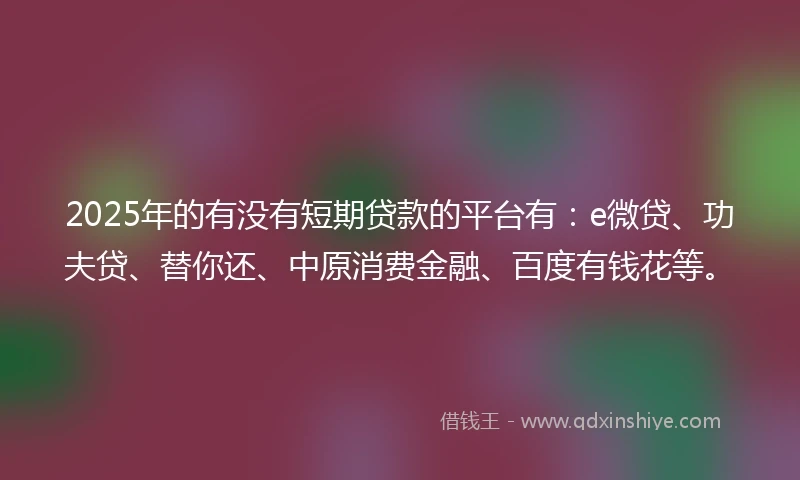 2025年的有没有短期贷款的平台有：e微贷、功夫贷、替你还、中原消费金融、百度有钱花等。