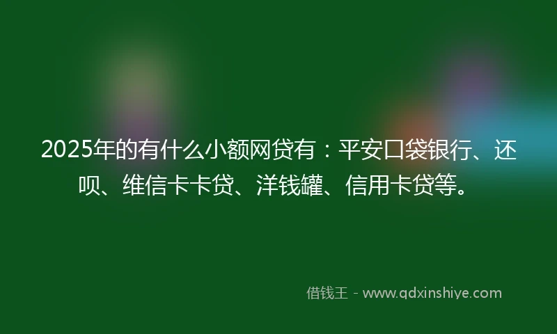 2025年的有什么小额网贷有：平安口袋银行、还呗、维信卡卡贷、洋钱罐、信用卡贷等。