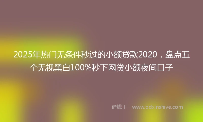 2025年热门无条件秒过的小额贷款2020，盘点五个无视黑白100%秒下网贷小额夜间口子