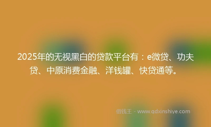 2025年的无视黑白的贷款平台有：e微贷、功夫贷、中原消费金融、洋钱罐、快贷通等。