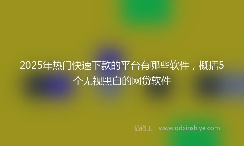 2025年热门快速下款的平台有哪些软件，概括5个无视黑白的网贷软件