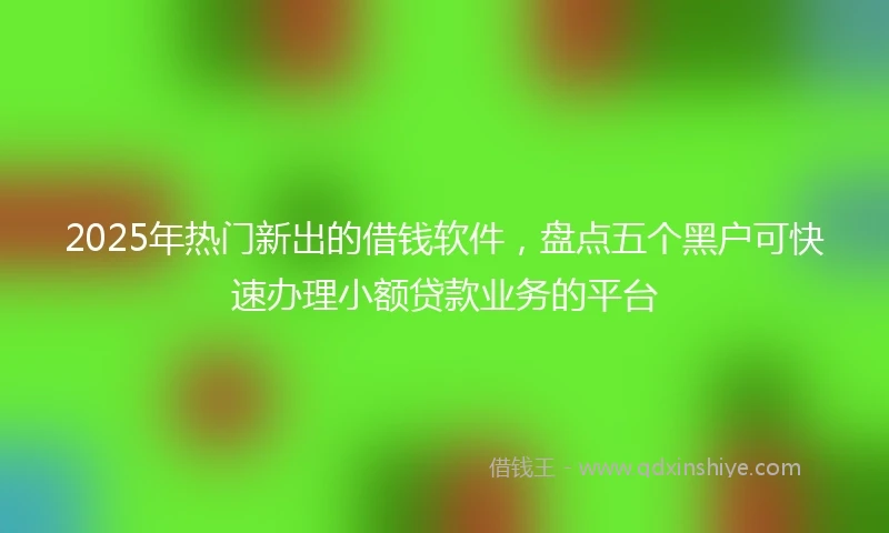 2025年热门新出的借钱软件，盘点五个黑户可快速办理小额贷款业务的平台