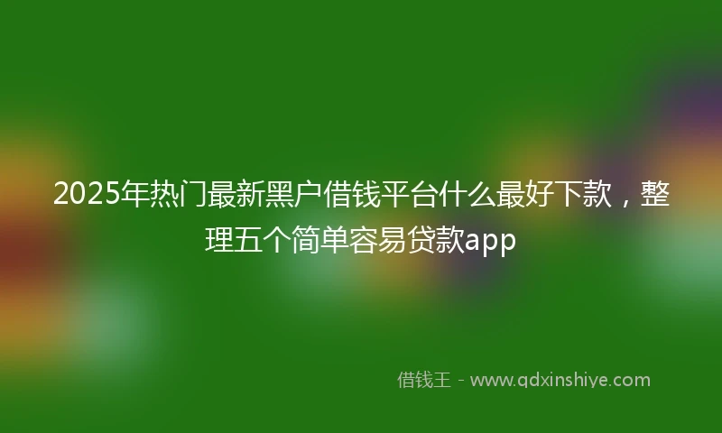 2025年热门最新黑户借钱平台什么最好下款，整理五个简单容易贷款app