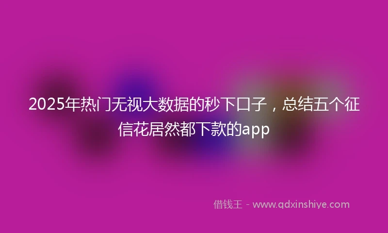 2025年热门无视大数据的秒下口子，总结五个征信花居然都下款的app