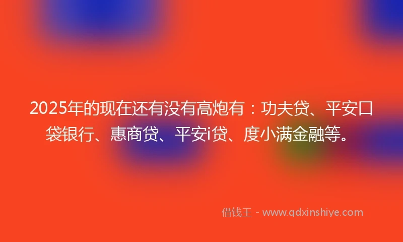 2025年的现在还有没有高炮有：功夫贷、平安口袋银行、惠商贷、平安i贷、度小满金融等。