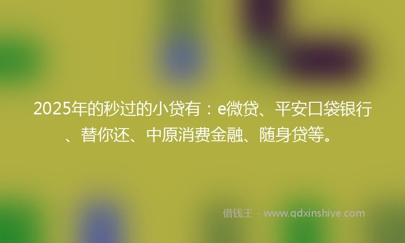 2025年的秒过的小贷有：e微贷、平安口袋银行、替你还、中原消费金融、随身贷等。