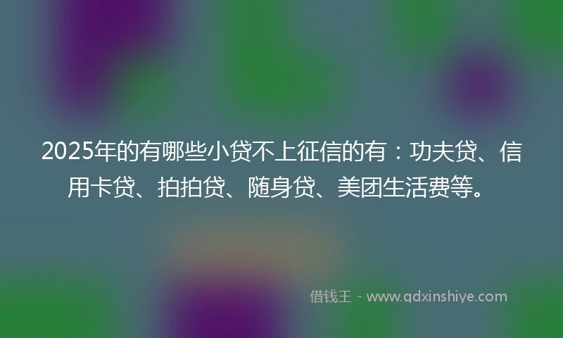 2025年的有哪些小贷不上征信的有：功夫贷、信用卡贷、拍拍贷、随身贷、美团生活费等。