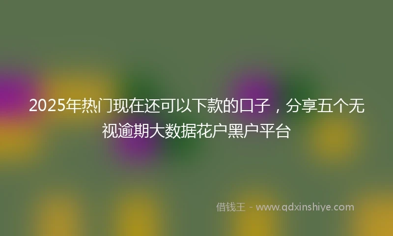 2025年热门现在还可以下款的口子，分享五个无视逾期大数据花户黑户平台