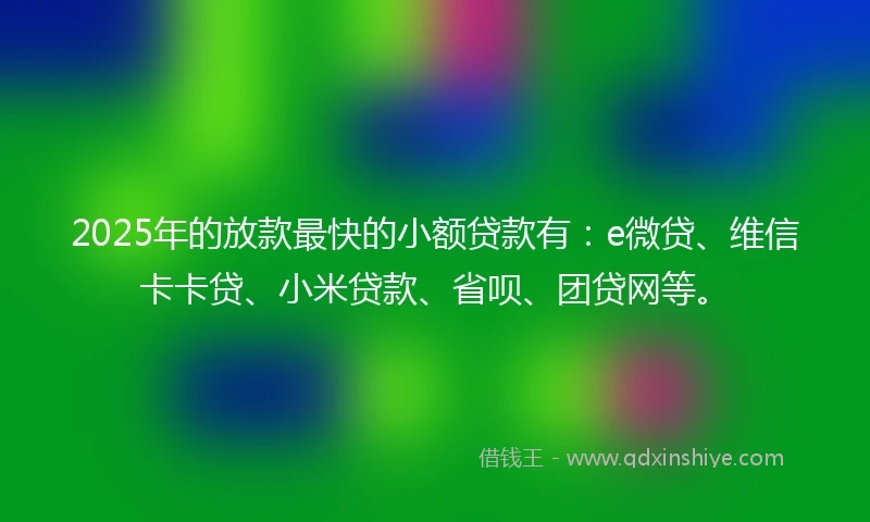 2025年的放款最快的小额贷款有：e微贷、维信卡卡贷、小米贷款、省呗、团贷网等。