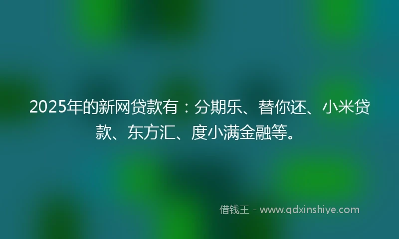 2025年的新网贷款有：分期乐、替你还、小米贷款、东方汇、度小满金融等。