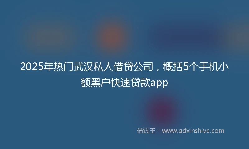 2025年热门武汉私人借贷公司，概括5个手机小额黑户快速贷款app