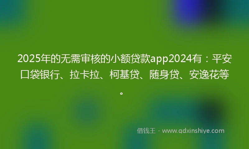 2025年的无需审核的小额贷款app2024有：平安口袋银行、拉卡拉、柯基贷、随身贷、安逸花等。