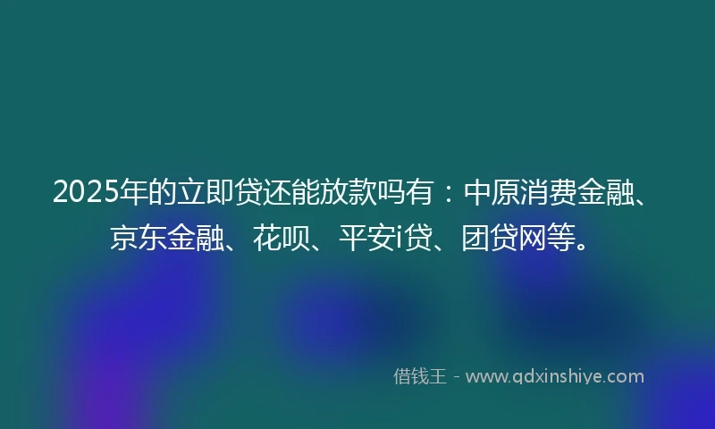 2025年的立即贷还能放款吗有：中原消费金融、京东金融、花呗、平安i贷、团贷网等。