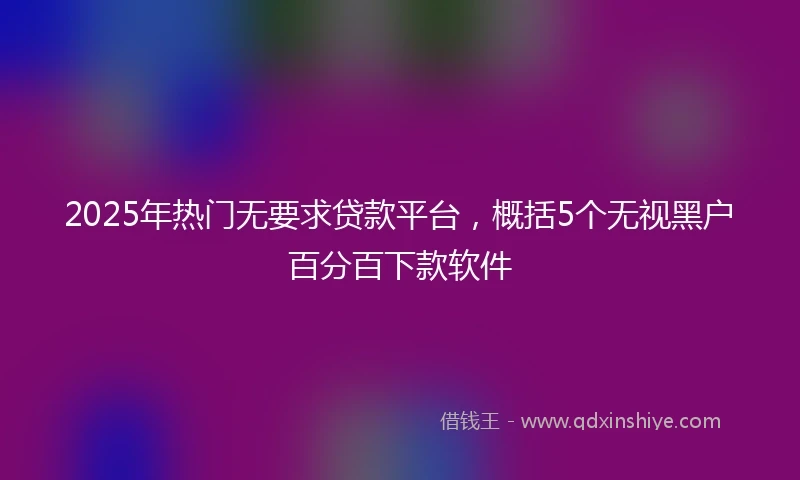 2025年热门无要求贷款平台，概括5个无视黑户百分百下款软件