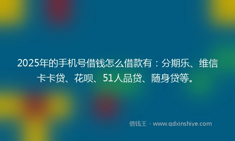 2025年的手机号借钱怎么借款有：分期乐、维信卡卡贷、花呗、51人品贷、随身贷等。