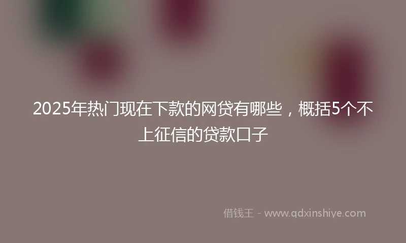 2025年热门现在下款的网贷有哪些，概括5个不上征信的贷款口子