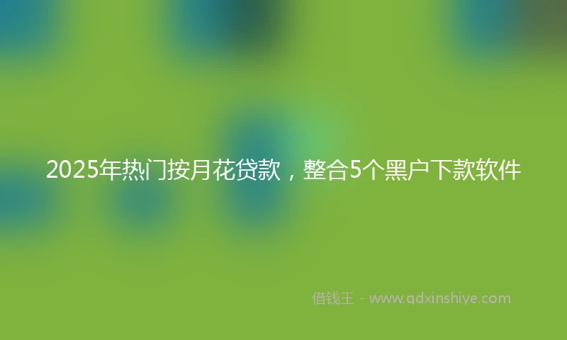 2025年热门按月花贷款，整合5个黑户下款软件