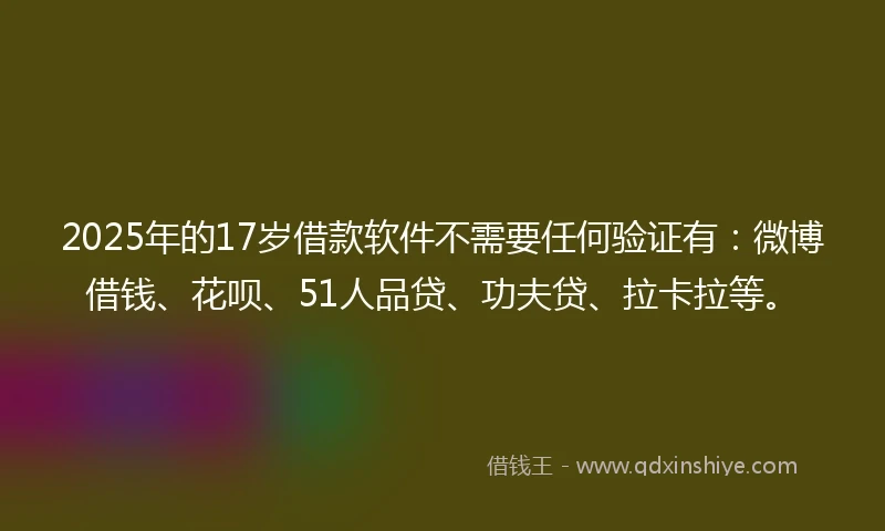 2025年的17岁借款软件不需要任何验证有：微博借钱、花呗、51人品贷、功夫贷、拉卡拉等。