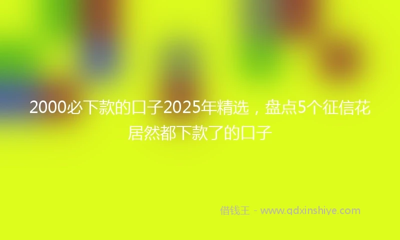 2000必下款的口子2025年精选，盘点5个征信花居然都下款了的口子