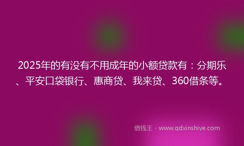 2025年的有没有不用成年的小额贷款有：分期乐、平安口袋银行、惠商贷、我来贷、360借条等。