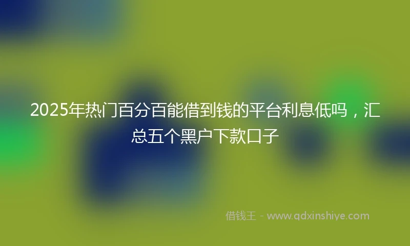 2025年热门百分百能借到钱的平台利息低吗，汇总五个黑户下款口子