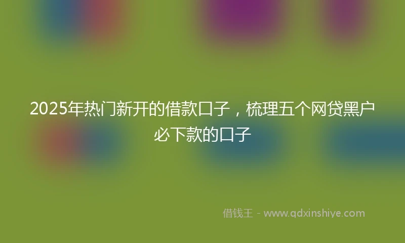 2025年热门新开的借款口子，梳理五个网贷黑户必下款的口子