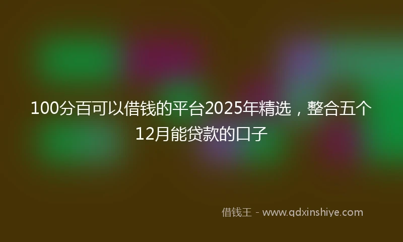 100分百可以借钱的平台2025年精选，整合五个12月能贷款的口子