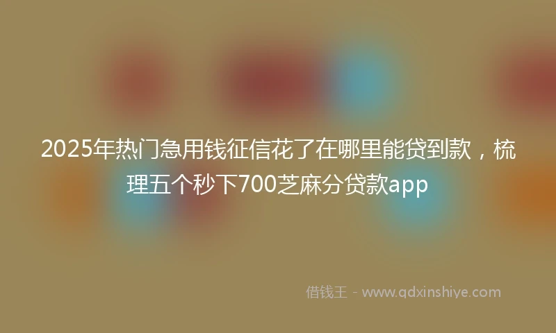 2025年热门急用钱征信花了在哪里能贷到款，梳理五个秒下700芝麻分贷款app
