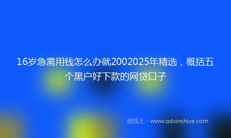 16岁急需用钱怎么办就2002025年精选，概括五个黑户好下款的网贷口子